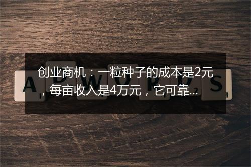 创业商机：一粒种子的成本是2元，每亩收入是4万元，它可靠吗？