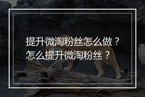 提升微淘粉丝怎么做？怎么提升微淘粉丝？