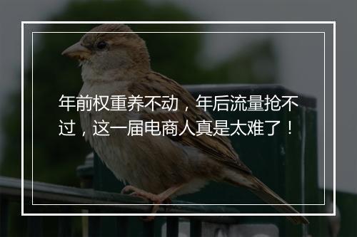年前权重养不动，年后流量抢不过，这一届电商人真是太难了！