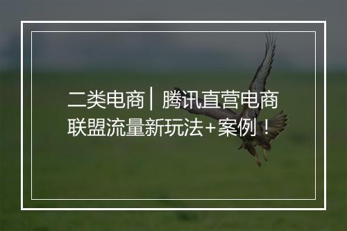 二类电商 ▏腾讯直营电商联盟流量新玩法+案例！