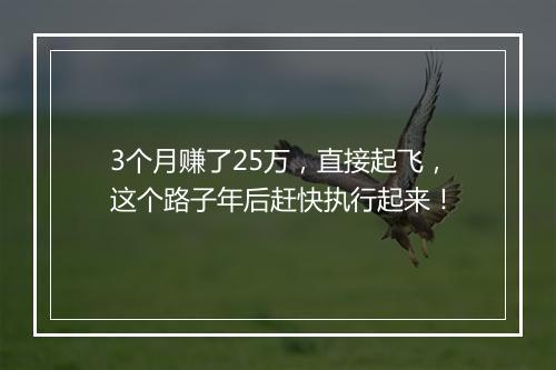 3个月赚了25万，直接起飞，这个路子年后赶快执行起来！