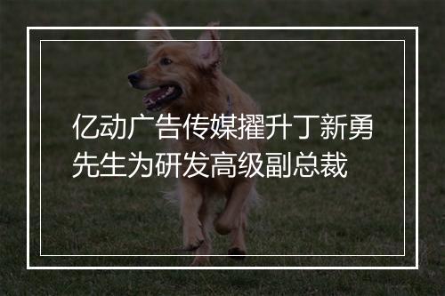 亿动广告传媒擢升丁新勇先生为研发高级副总裁
