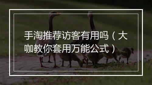 手淘推荐访客有用吗（大咖教你套用万能公式）