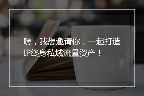 嘿，我想邀请你，一起打造IP终身私域流量资产！