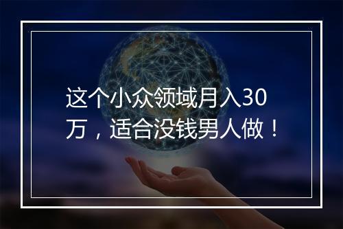 这个小众领域月入30万，适合没钱男人做！