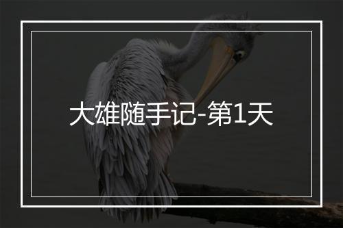 大雄随手记-第1天