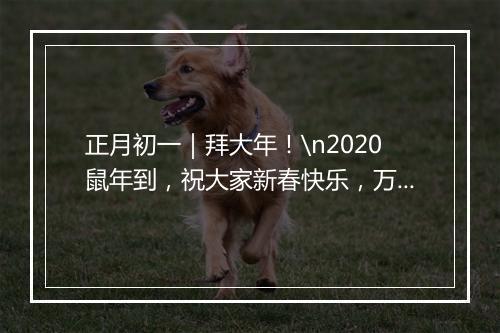 正月初一｜拜大年！\n2020鼠年到，祝大家新春快乐，万事如意！\n向一线的所有医护人员致敬！