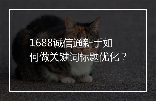 1688诚信通新手如何做关键词标题优化？