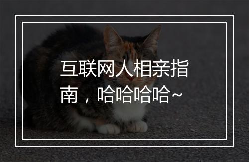 互联网人相亲指南，哈哈哈哈~