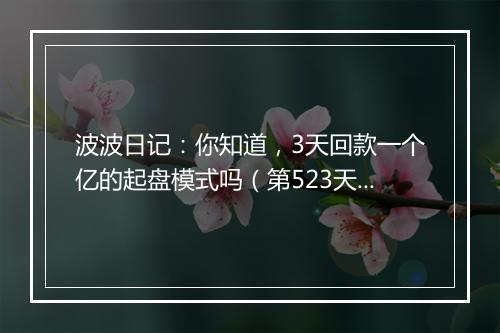 波波日记：你知道，3天回款一个亿的起盘模式吗（第523天）