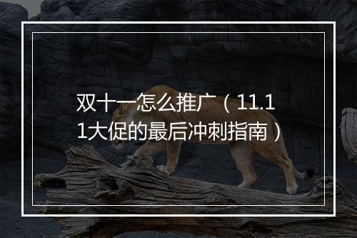 双十一怎么推广（11.11大促的最后冲刺指南）