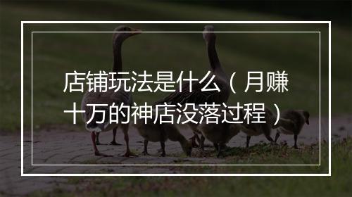 店铺玩法是什么（月赚十万的神店没落过程）