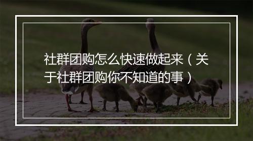 社群团购怎么快速做起来（关于社群团购你不知道的事）