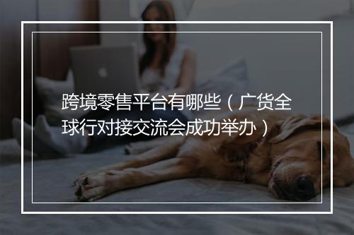 跨境零售平台有哪些（广货全球行对接交流会成功举办）