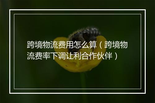 跨境物流费用怎么算（跨境物流费率下调让利合作伙伴）
