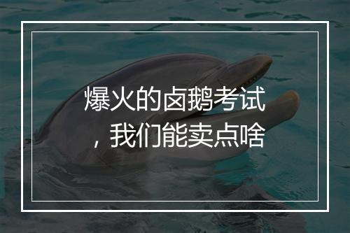 爆火的卤鹅考试，我们能卖点啥