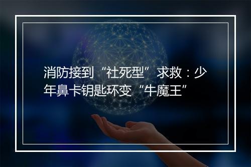 消防接到“社死型”求救：少年鼻卡钥匙环变“牛魔王”