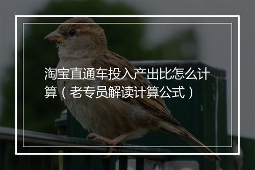淘宝直通车投入产出比怎么计算（老专员解读计算公式）