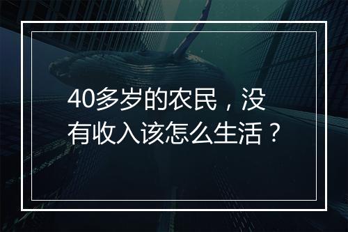 40多岁的农民，没有收入该怎么生活？