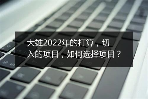 大雄2022年的打算，切入的项目，如何选择项目？