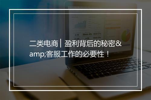 二类电商 ▏盈利背后的秘密&客服工作的必要性！