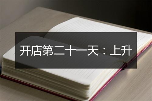 开店第二十一天：上升