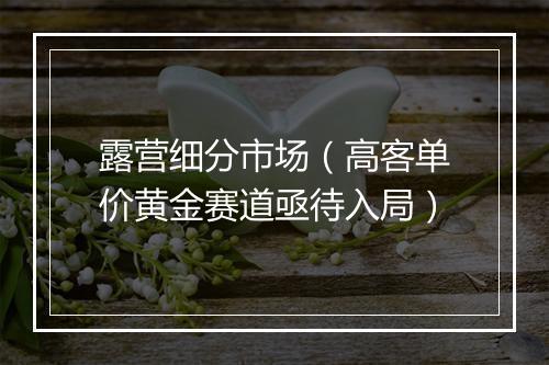 露营细分市场（高客单价黄金赛道亟待入局）