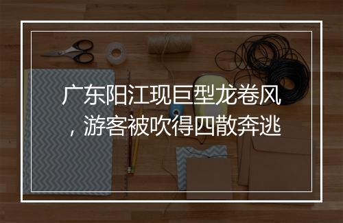 广东阳江现巨型龙卷风，游客被吹得四散奔逃