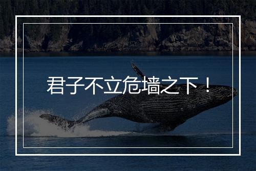 君子不立危墙之下！