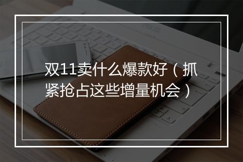 双11卖什么爆款好（抓紧抢占这些增量机会）