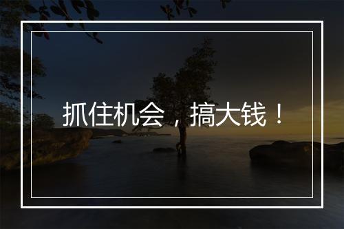 抓住机会，搞大钱！