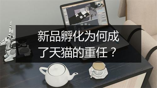 新品孵化为何成了天猫的重任？