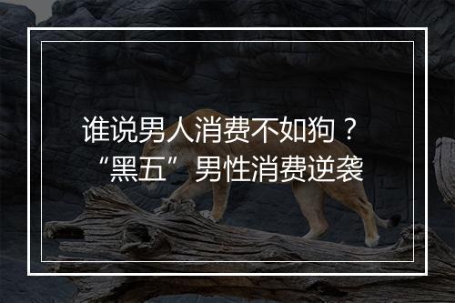 谁说男人消费不如狗？ “黑五”男性消费逆袭