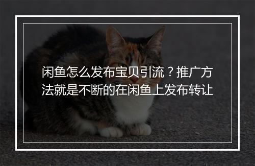 闲鱼怎么发布宝贝引流？推广方法就是不断的在闲鱼上发布转让