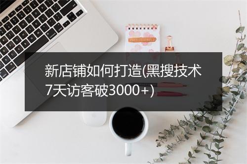 新店铺如何打造(黑搜技术7天访客破3000+)