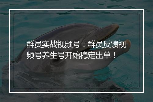 群员实战视频号：群员反馈视频号养生号开始稳定出单！