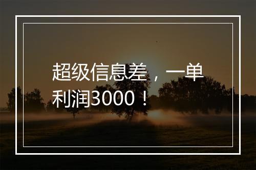 超级信息差，一单利润3000！