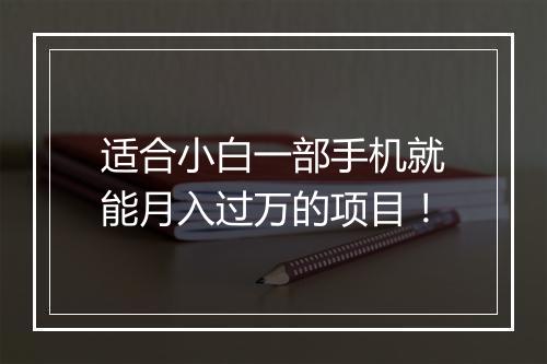 适合小白一部手机就能月入过万的项目！