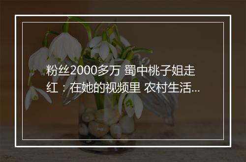 粉丝2000多万 蜀中桃子姐走红：在她的视频里 农村生活是这样的…