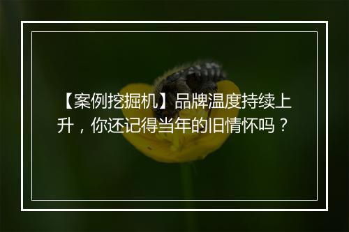 【案例挖掘机】品牌温度持续上升，你还记得当年的旧情怀吗？
