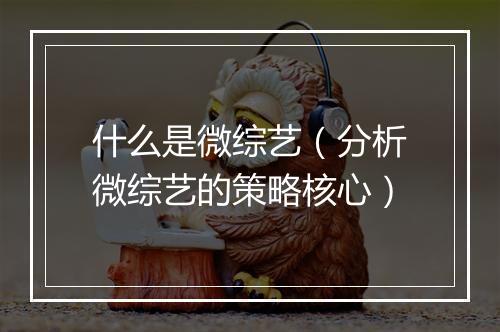 什么是微综艺（分析微综艺的策略核心）