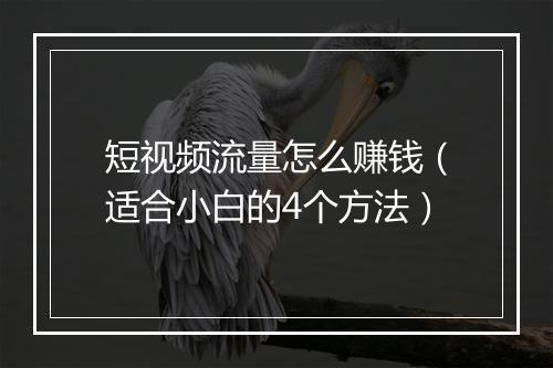 短视频流量怎么赚钱（适合小白的4个方法）