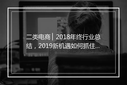 二类电商 ▏2018年终行业总结，2019新机遇如何抓住？