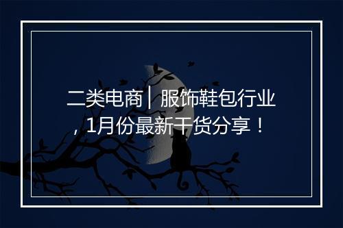 二类电商 ▏服饰鞋包行业，1月份最新干货分享！