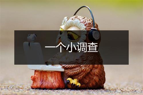 一个小调查