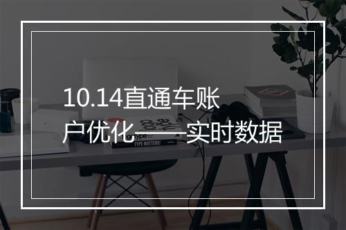 10.14直通车账户优化——实时数据