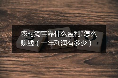 农村淘宝靠什么盈利?怎么赚钱（一年利润有多少）