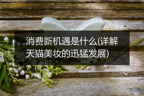消费新机遇是什么(详解天猫美妆的迅猛发展)