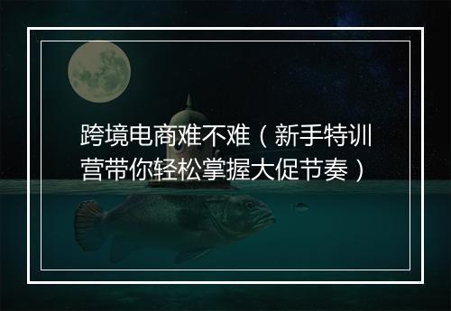 跨境电商难不难（新手特训营带你轻松掌握大促节奏）