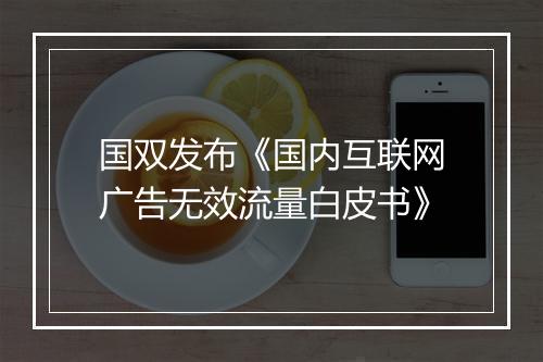 国双发布《国内互联网广告无效流量白皮书》